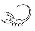 Skorpion partnersuche