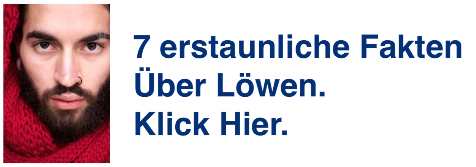 Zwilling mann kennenlernen